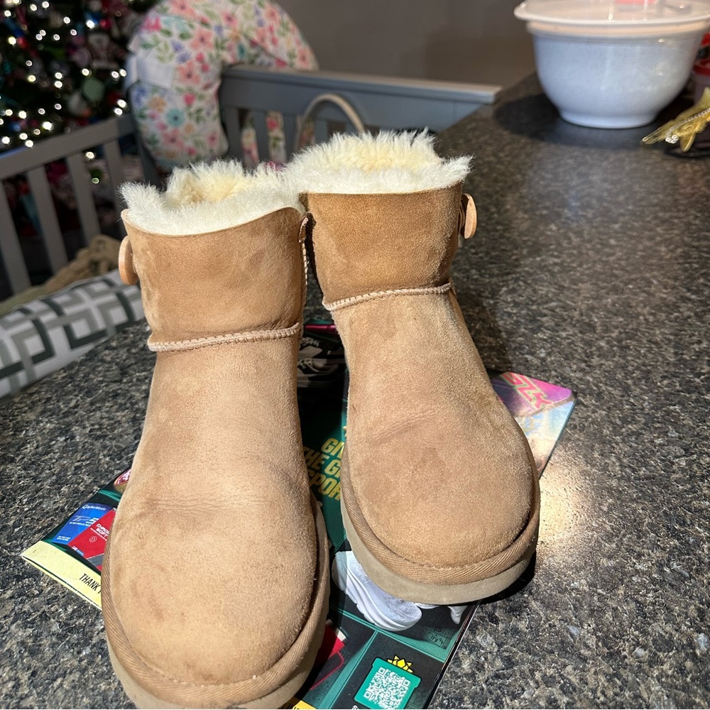 Chestnut Uggs